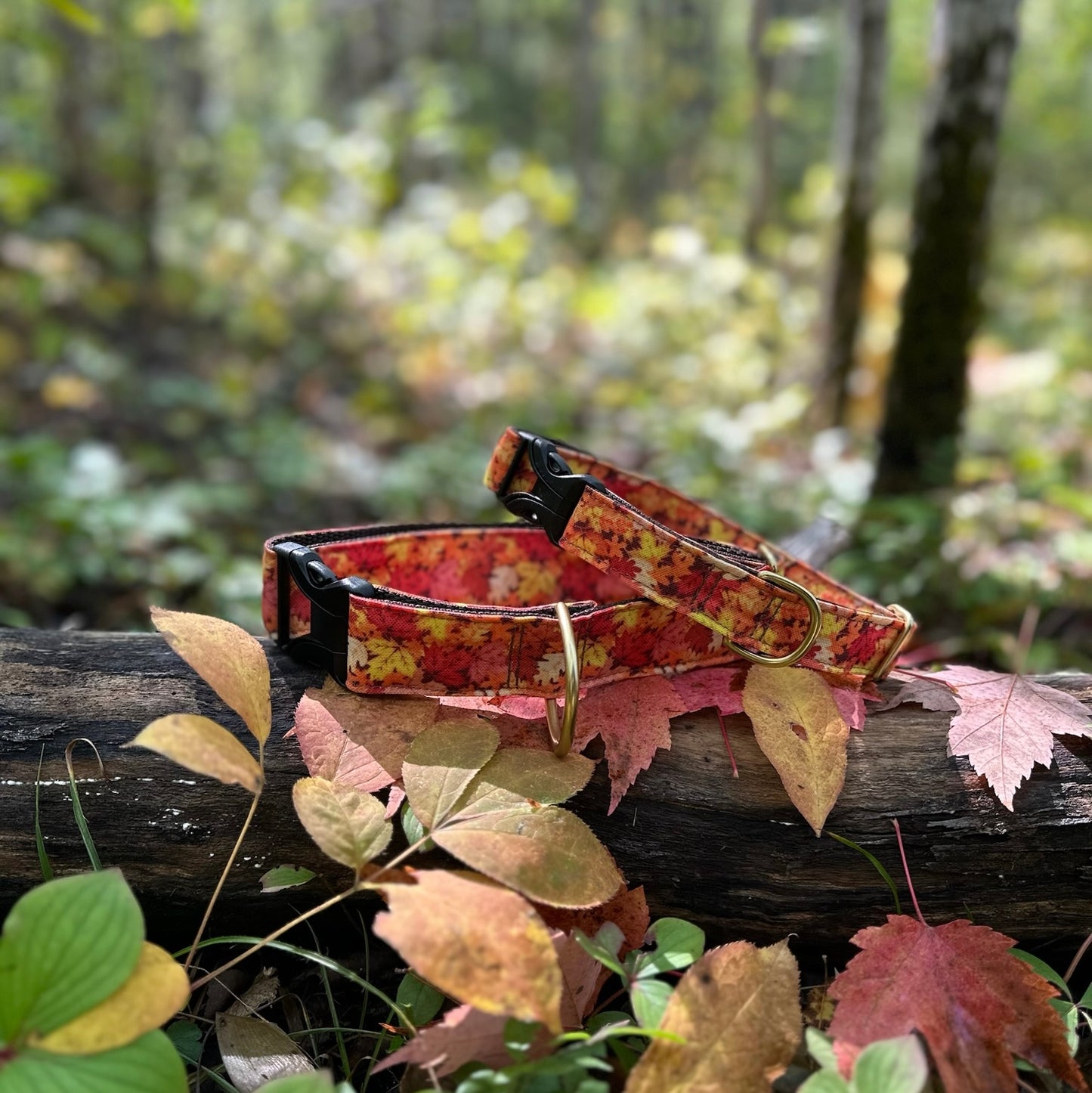 Leaf Pile