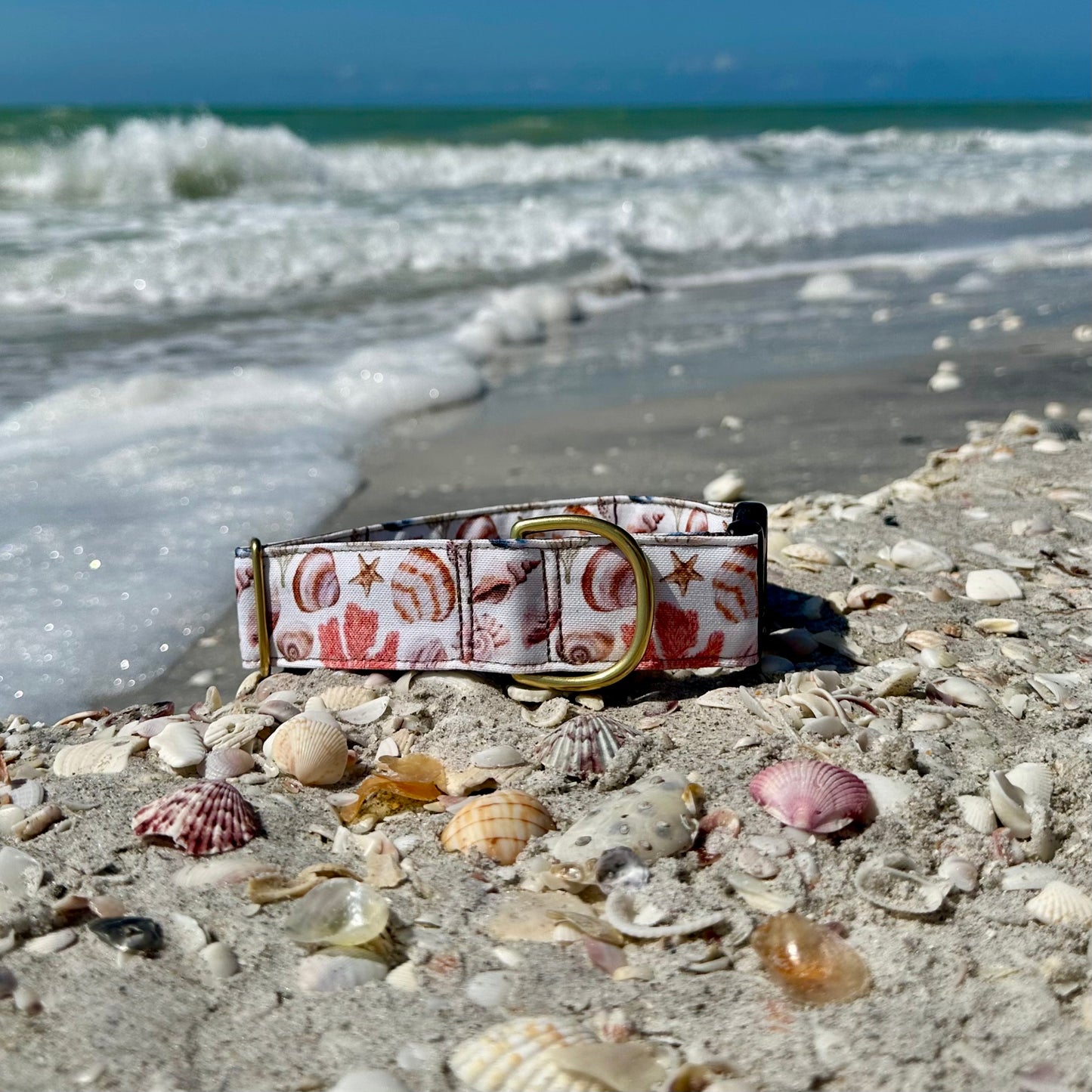 Seashells