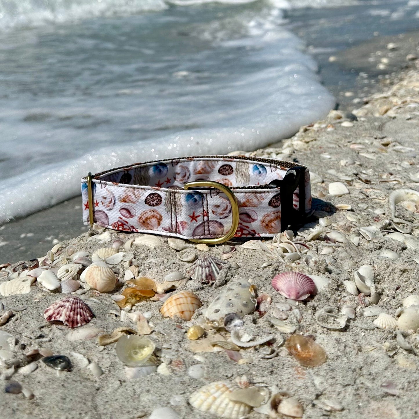 Seashells