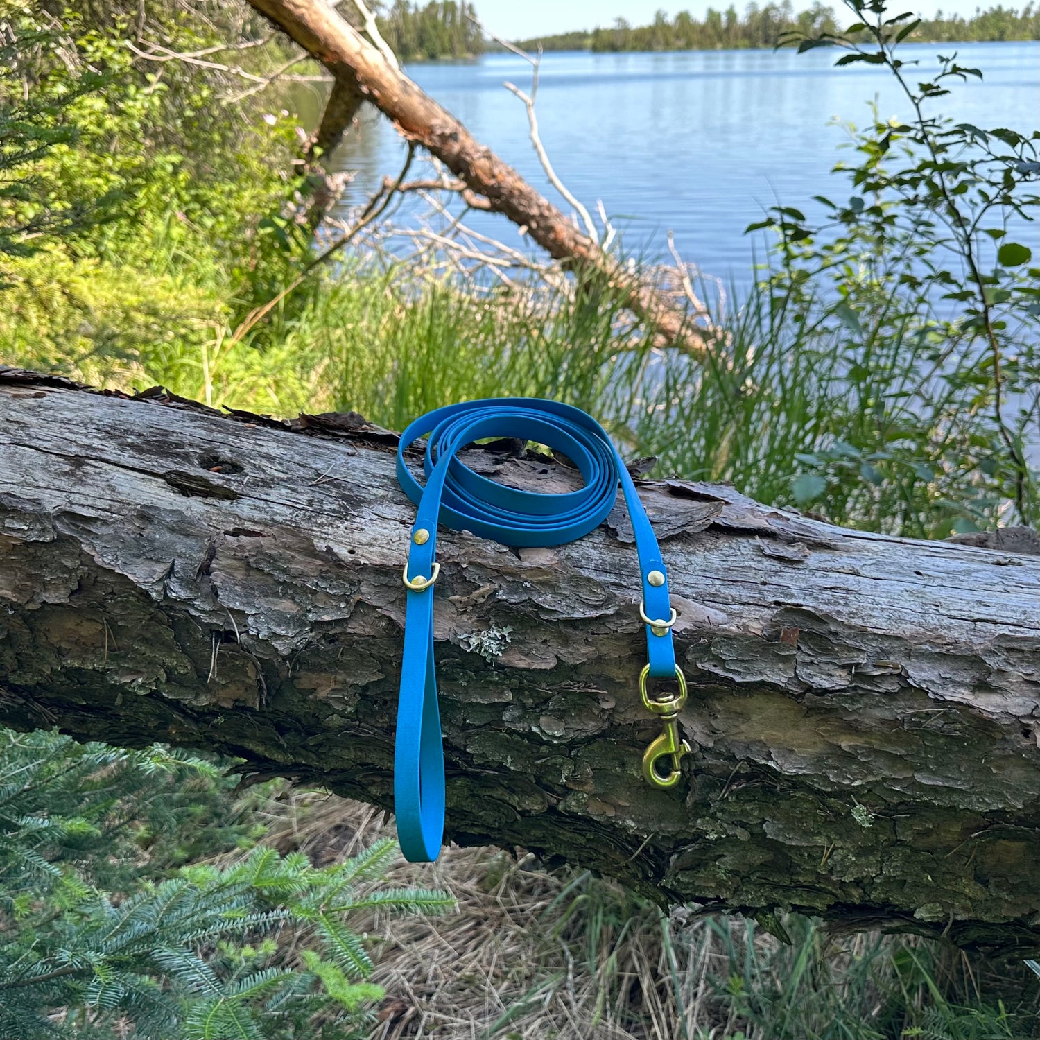 Pacific Blue 10ft, 5/8” width with heavy duty clasp