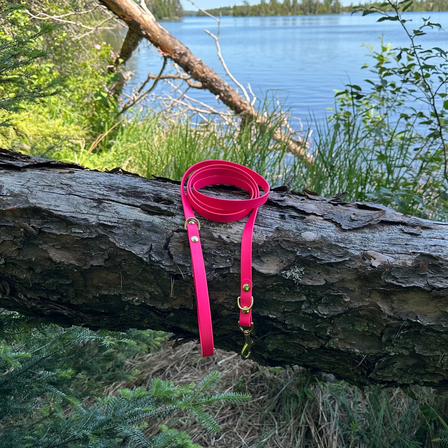 Pink 6ft leash, 5/8” width
