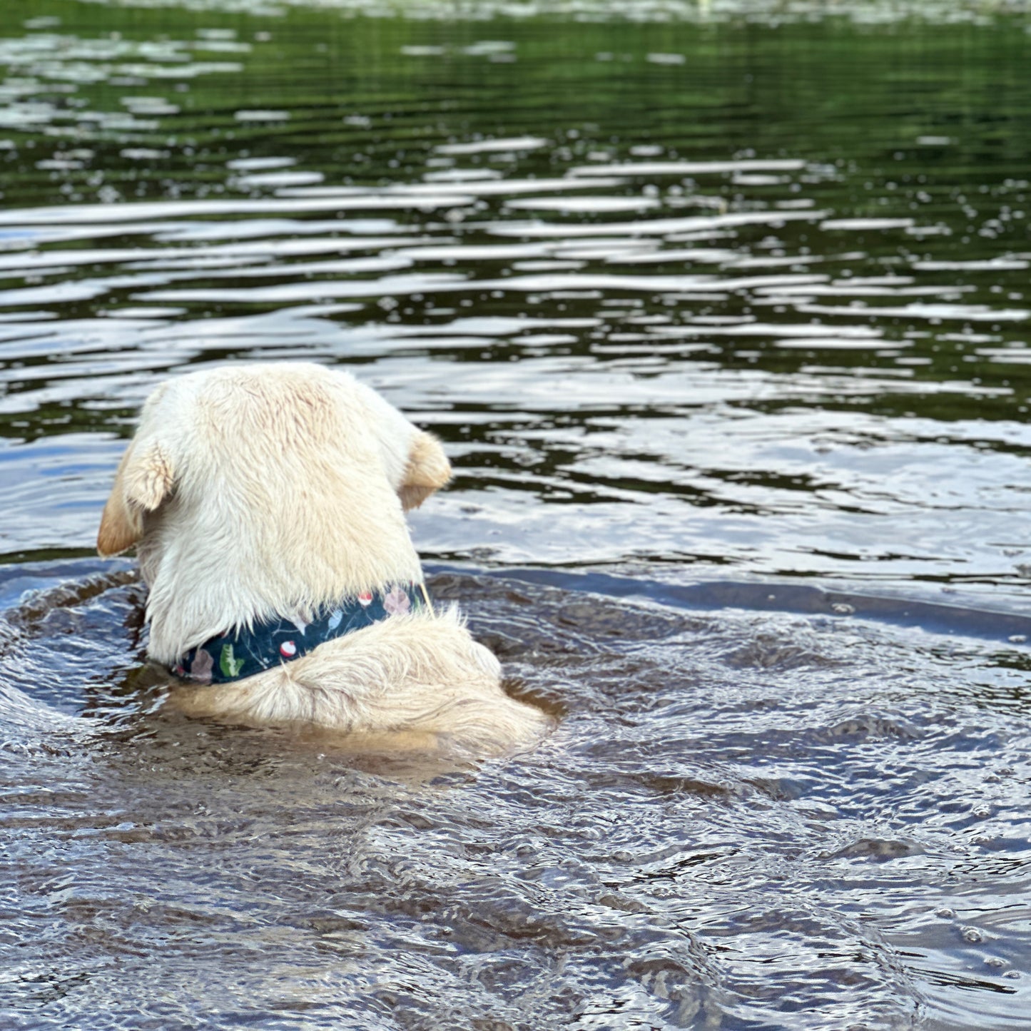 Gone Fishing