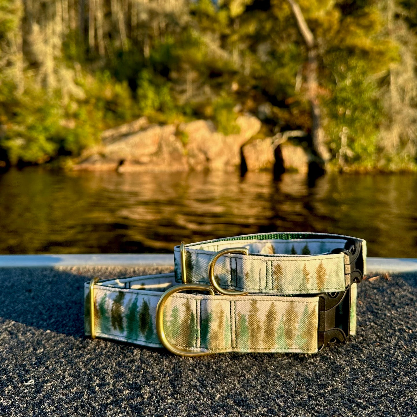 Boundary Waters Pines