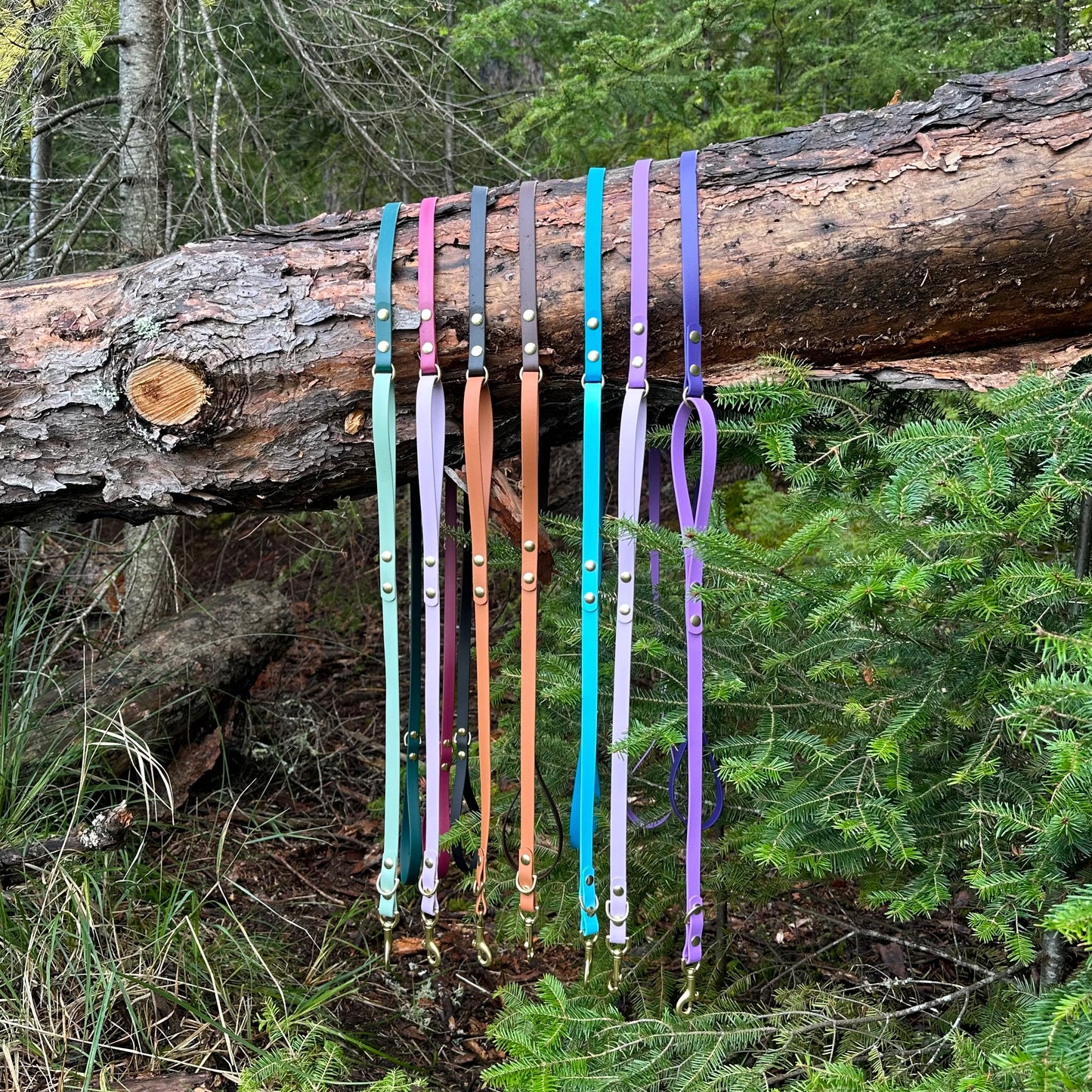 Single Loop Leash
