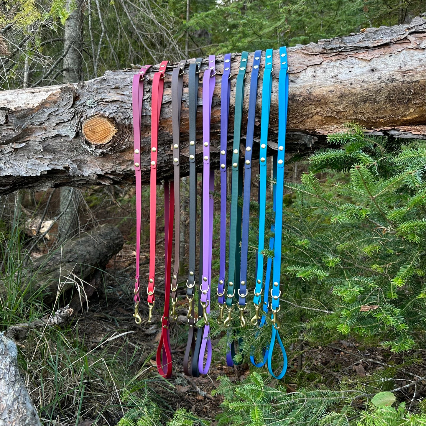 Single Loop Leash