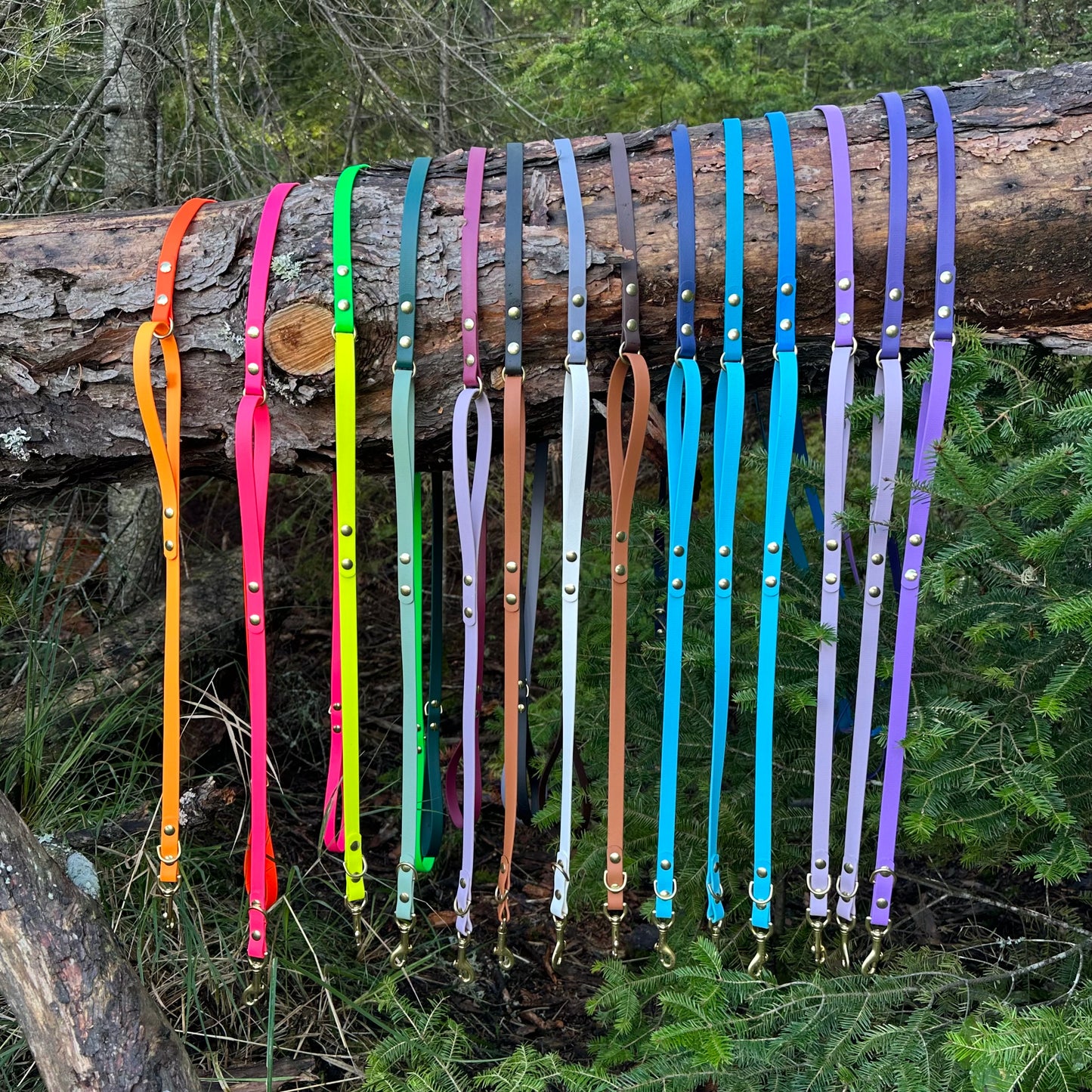 Single Loop Leash