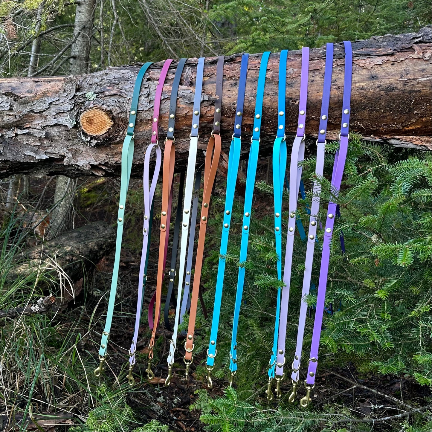 Single Loop Leash