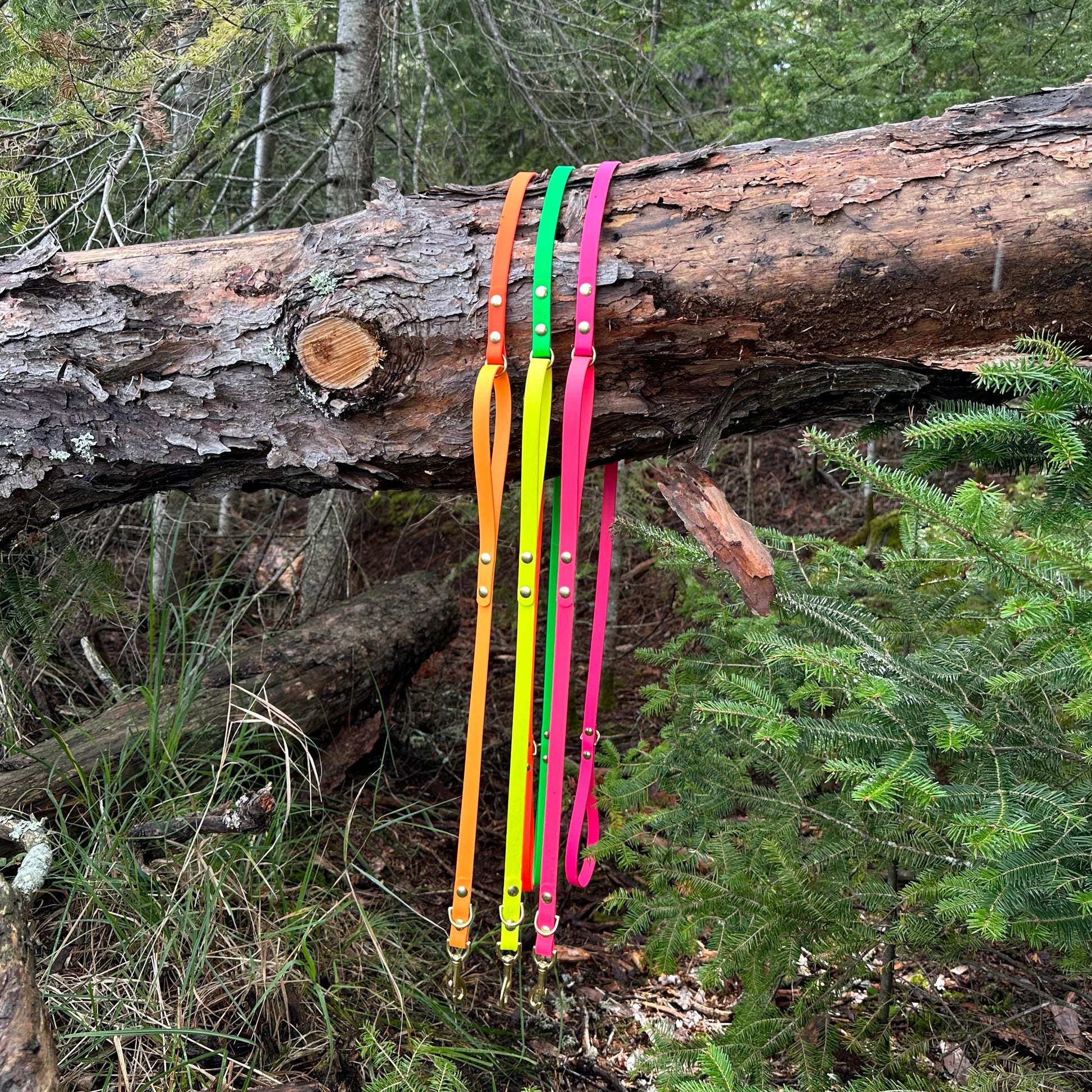 6ft leashes with a handle at 24" draped over a log

Blaze orange paired with Melon
Neon Green paired with Neon Yellow
Neon Pink