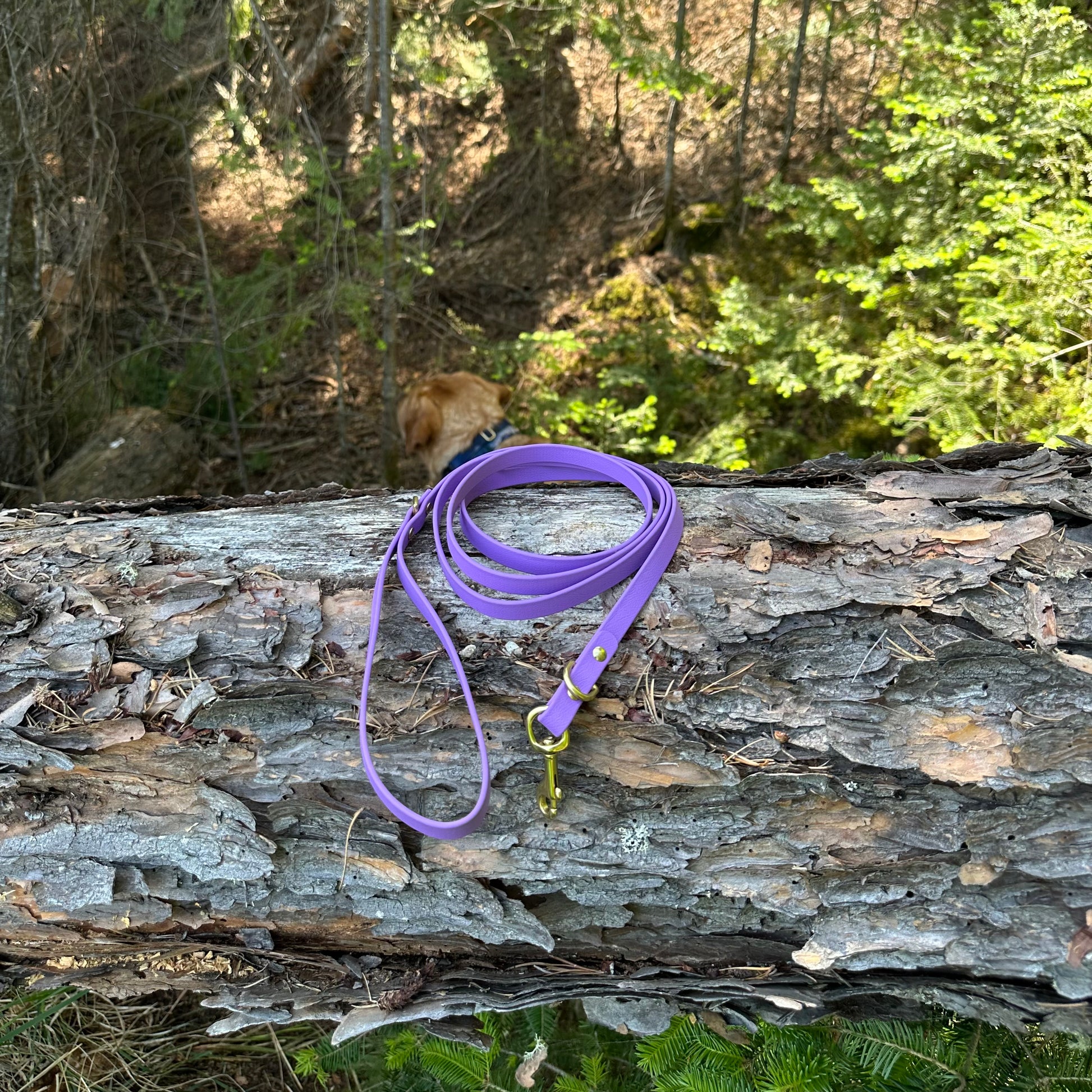 Amethyst, 6ft 1/2” width