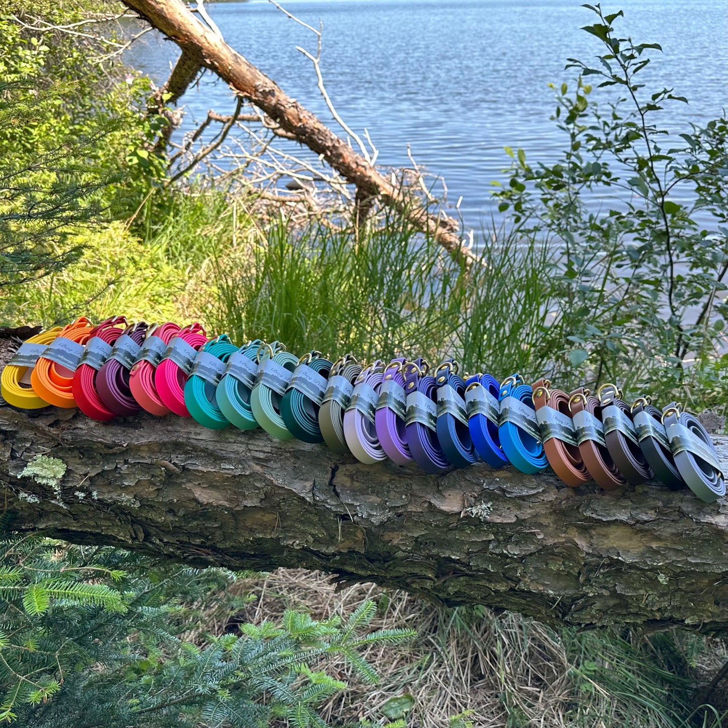 6ft, 3/4” width