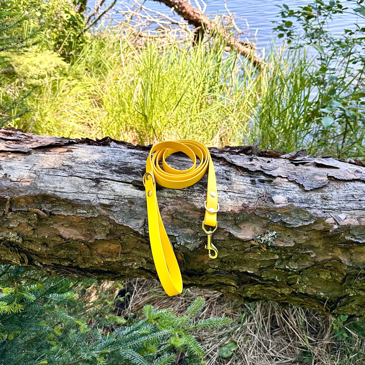 Marigold, 6ft 3/4”