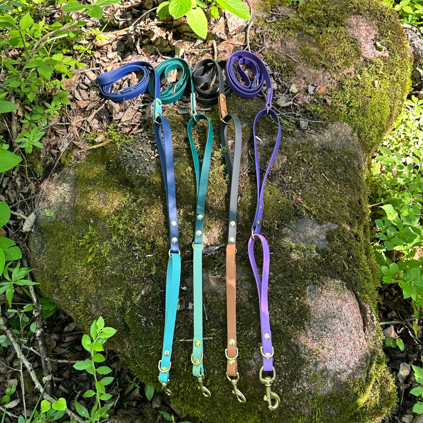 Double Loop Leash