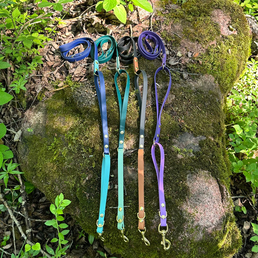 Double Loop Leash