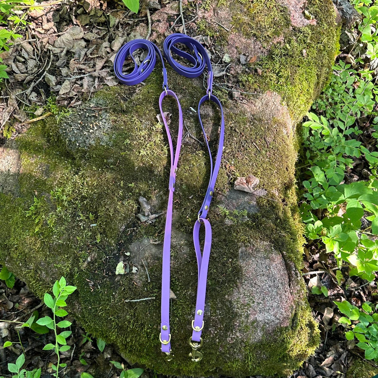 Double Loop Leash