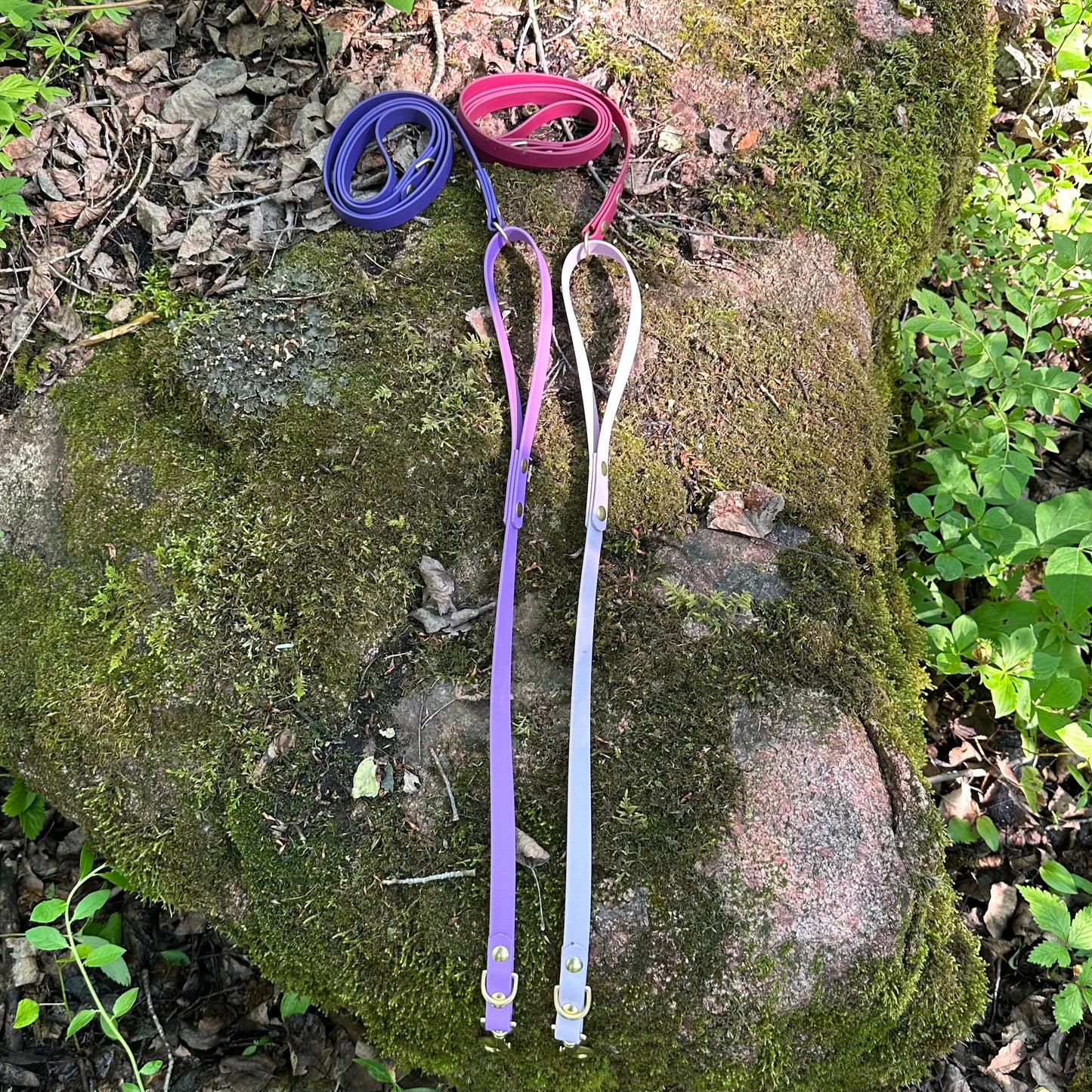 Single Loop Leash