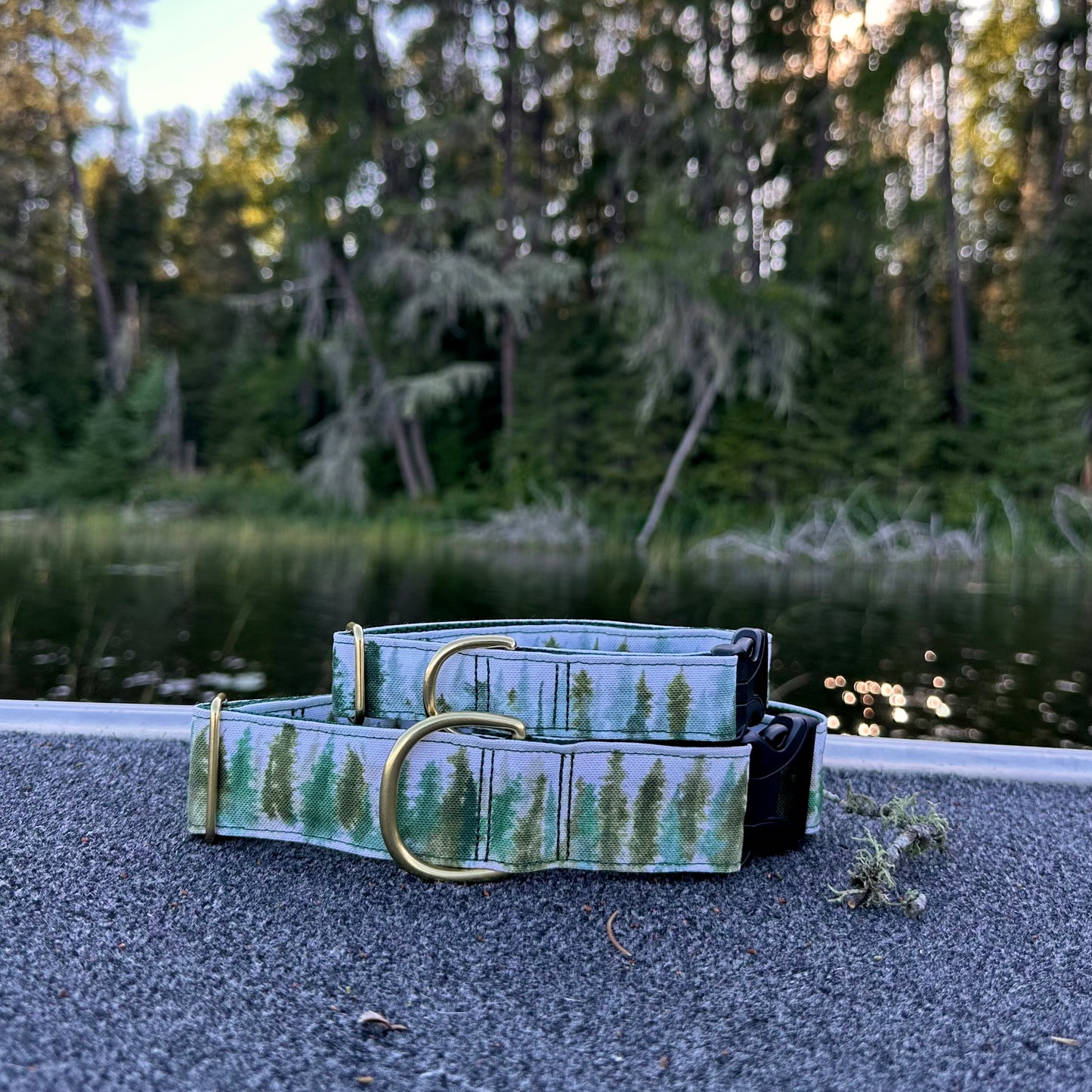 Boundary Waters Pines