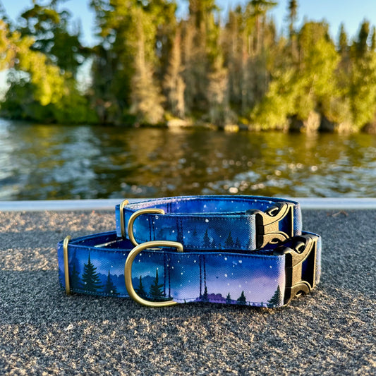 Dark Skies - Silhouette