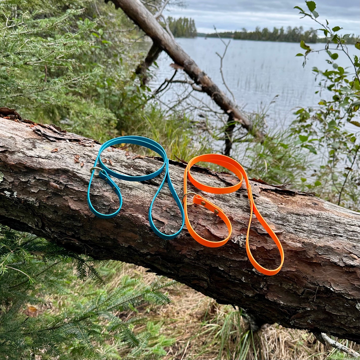 Slip Lead
