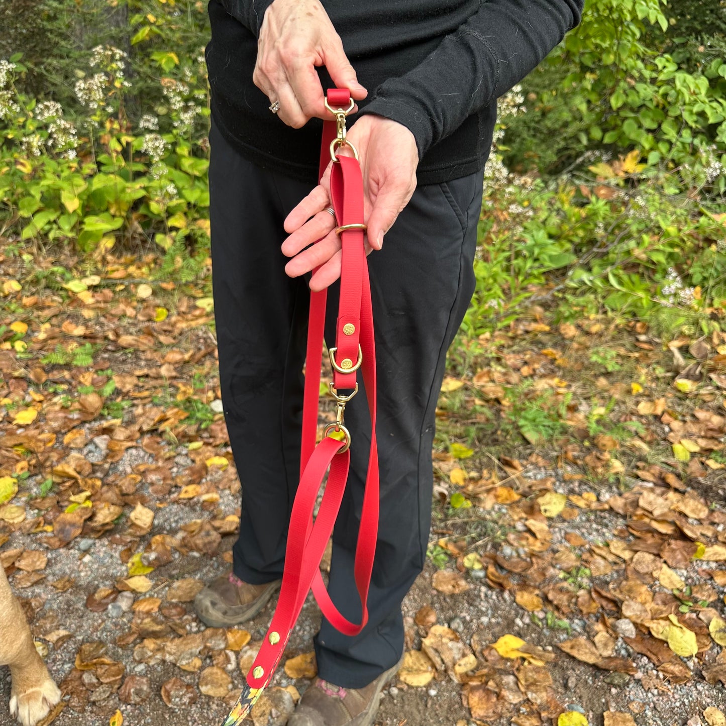 Convertible Leash