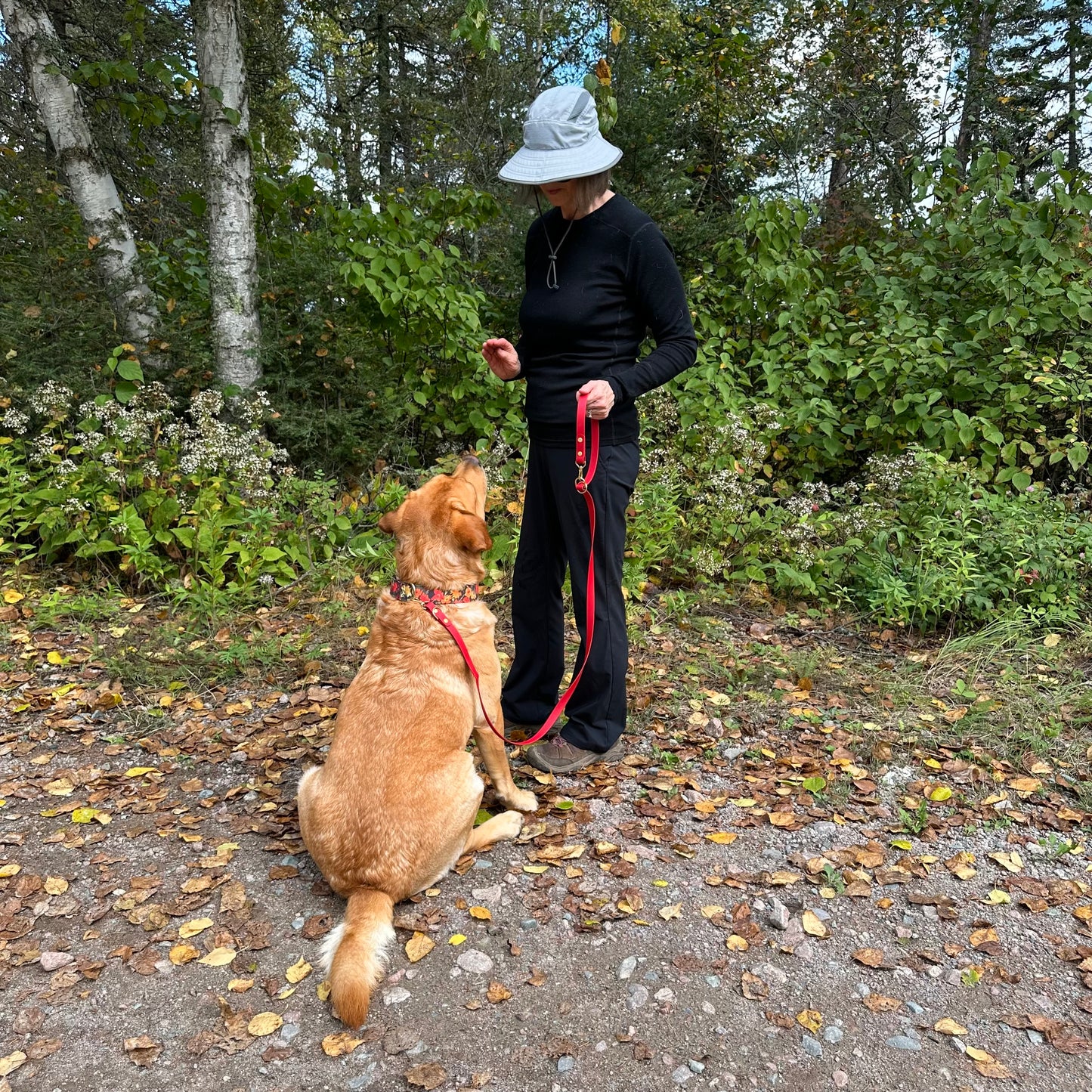 Convertible Leash