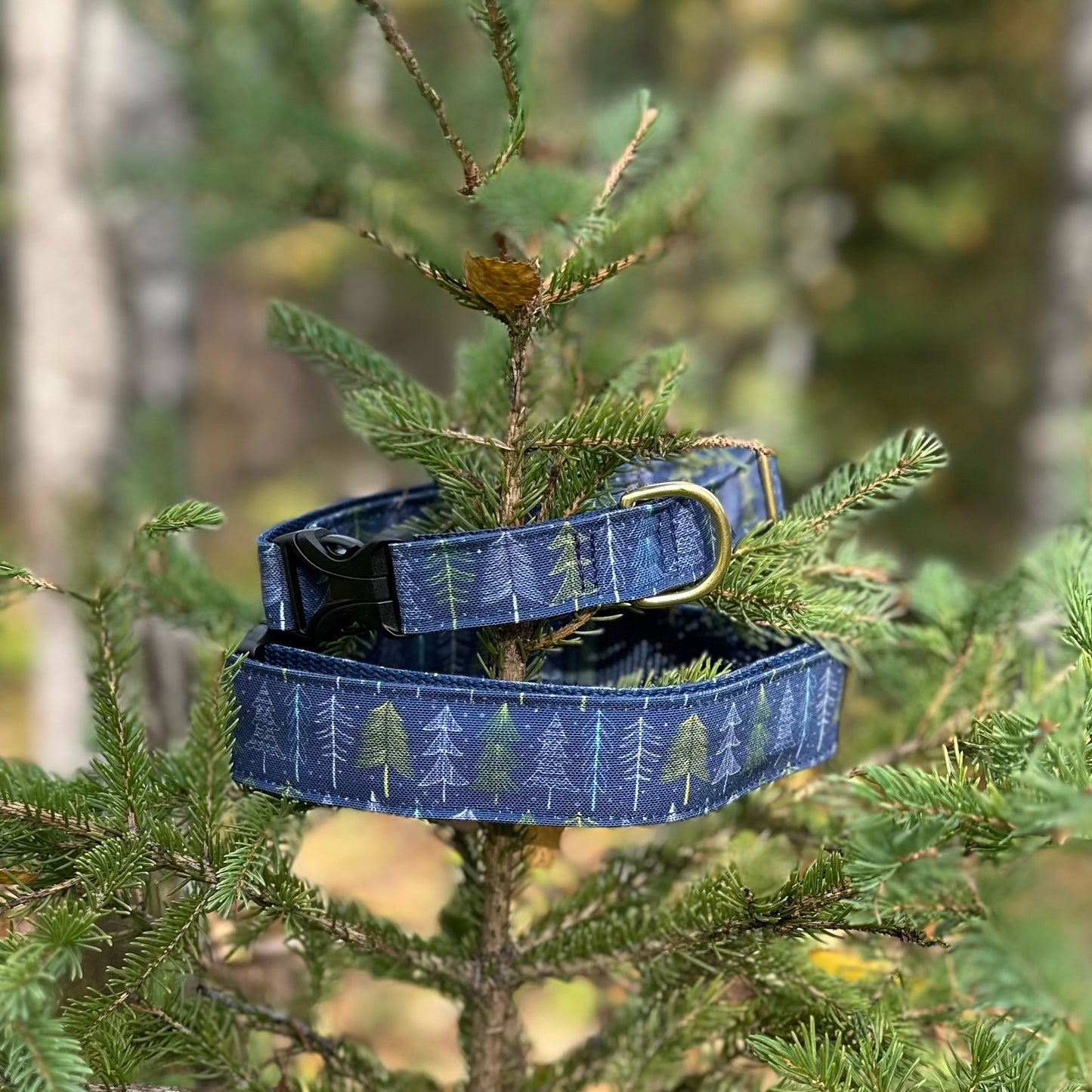 Sentinel Pines