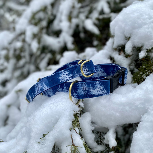 Blue patterned dog collar on a snow-covered branch with trees in the background
