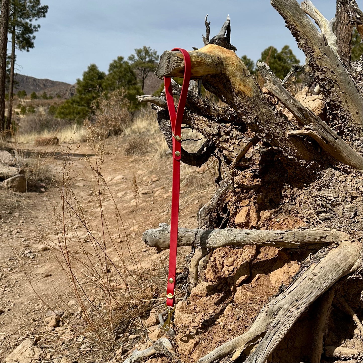 2ft Leash