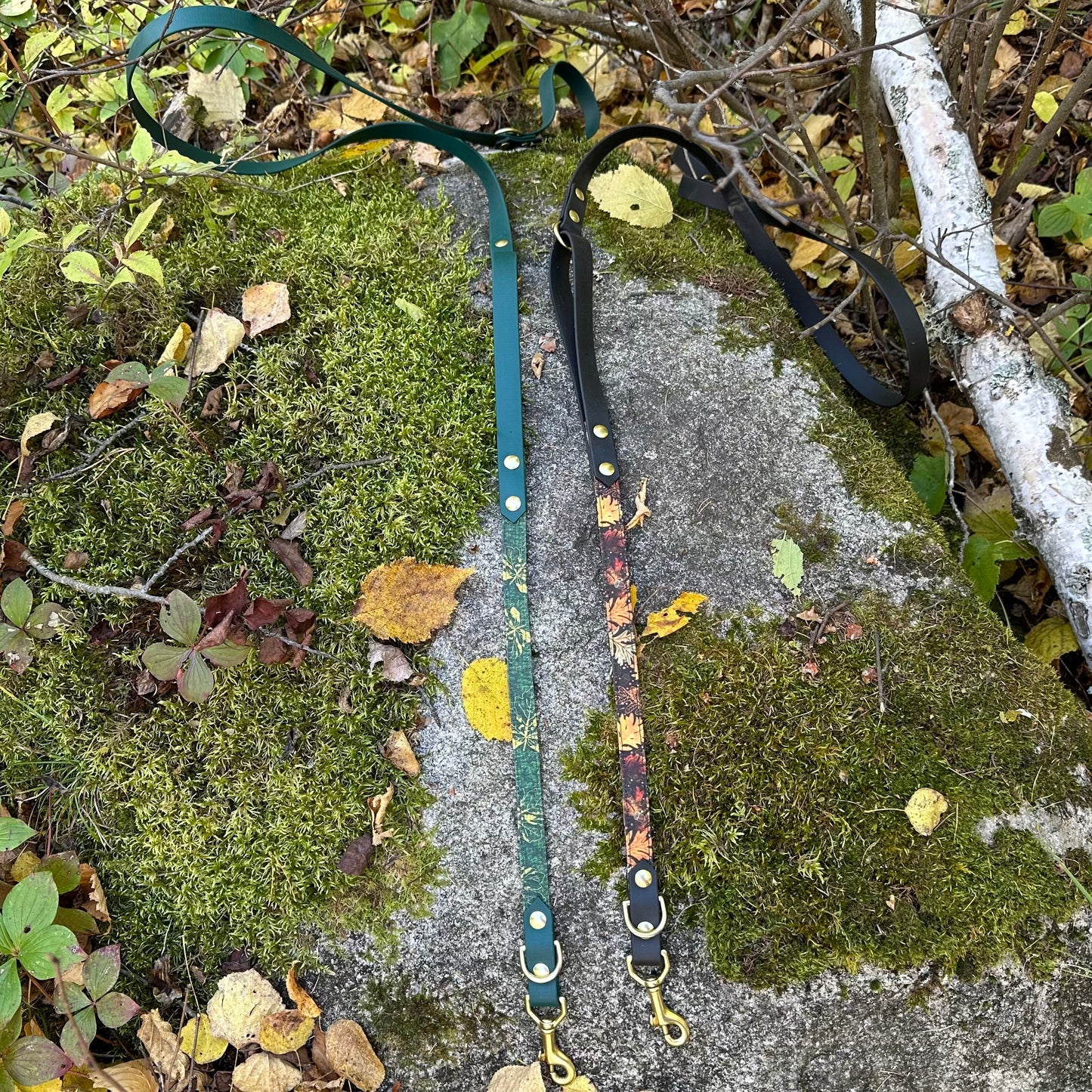 Fabric Leashes