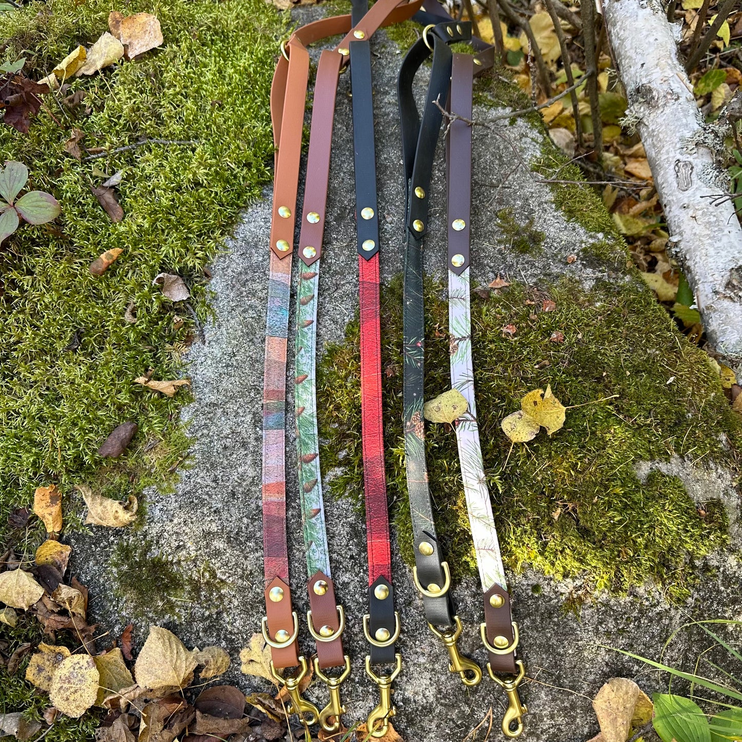 Fabric Leashes