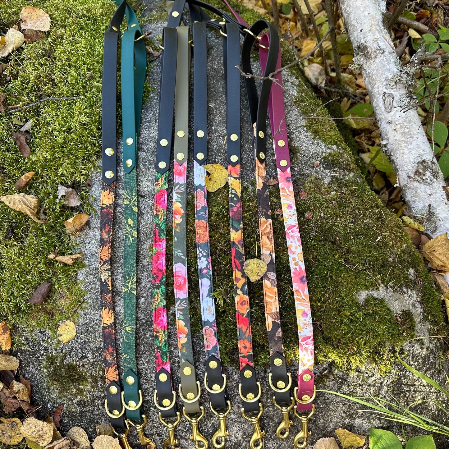 Fabric Leashes